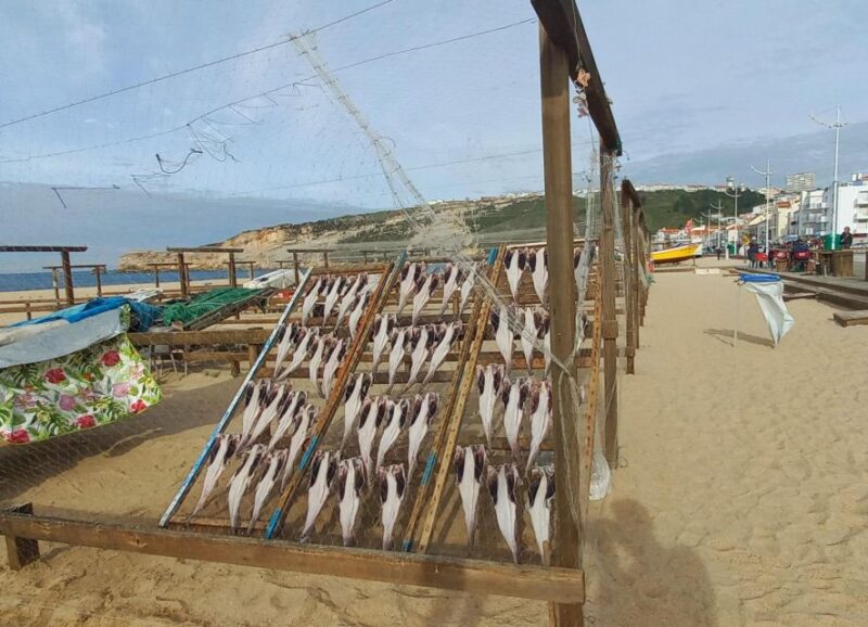 Nazare & Obidos - Private 7-Hour Tour From Lisbon - Itinerary Details