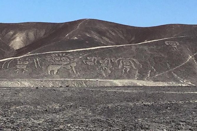 Nazca and Palpa Lines One-Hour Flight - Aerial Photography Opportunities