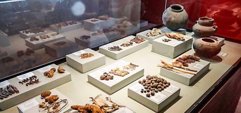Nazca: Archaeological Exploration of Nazca + Antonini Museum - Important Information for Visitors