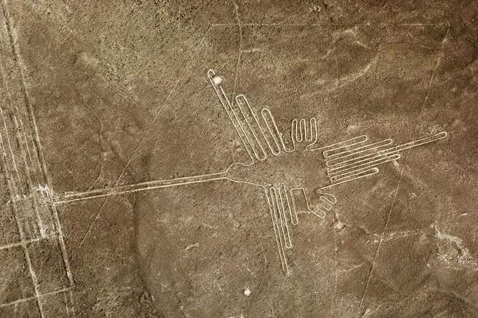 Nazca Lines & Ballestas Islands Private Tour From Lima - Inclusions and Costs
