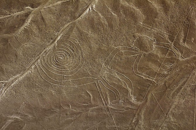 Nazca Lines & Ballestas Islands Private Tour From Lima - Traveler Experiences