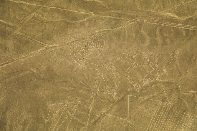 Nazca Lines From Nazca Airport - Pricing and Additional Costs