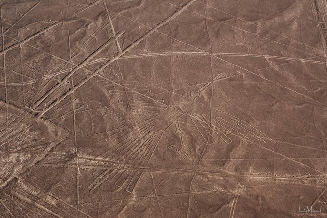 Nazca Lines From Nazca Airport - Pickup and Arrival Coordination