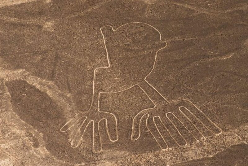 Nazca Lines Fullday From Lima: Fly Over Mystics Geoglyphs - Whats Included