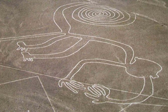Nazca Lines Overflight Tour From Nazca - Important Information