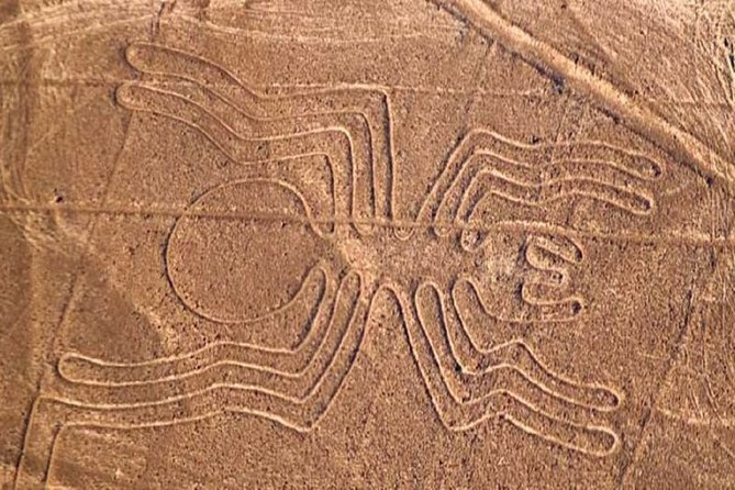 Nazca Lines Overflight Tour From Nazca - Breathtaking Aerial Views