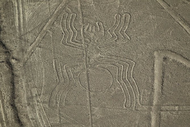 Nazca Lines Overflight Tour From Nazca - Convenient Transfers Provided