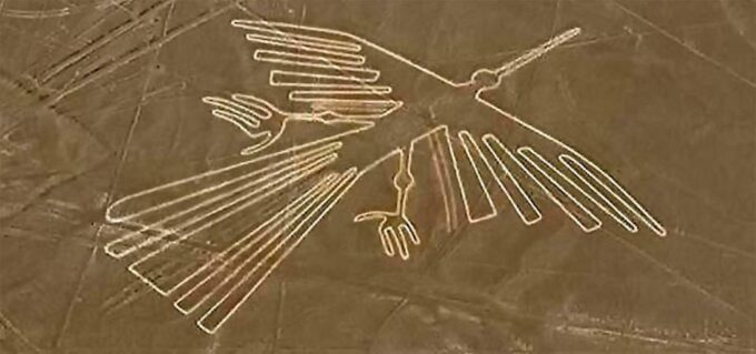Nazca, Paracas and Ballestas Islands Tour - 3-day Ica Tour - Inclusions
