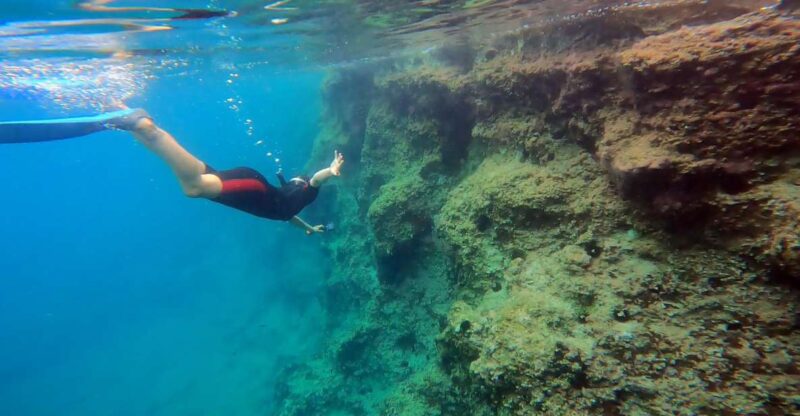 Nea Makri: Marathon Cape & Bay of Schinias Snorkeling Trip - Key Points