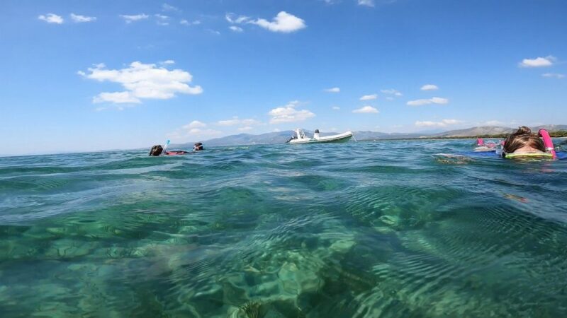 Nea Makri: Marathon Cape & Bay of Schinias Snorkeling Trip - Diving Into Crystal-Clear Waters