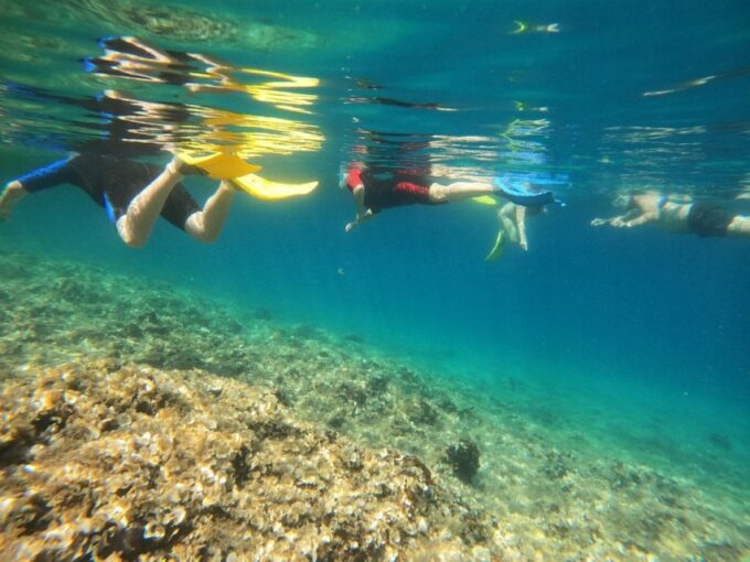 Nea Makri: Marathon Cape & Bay of Schinias Snorkeling Trip - Frequently Asked Questions