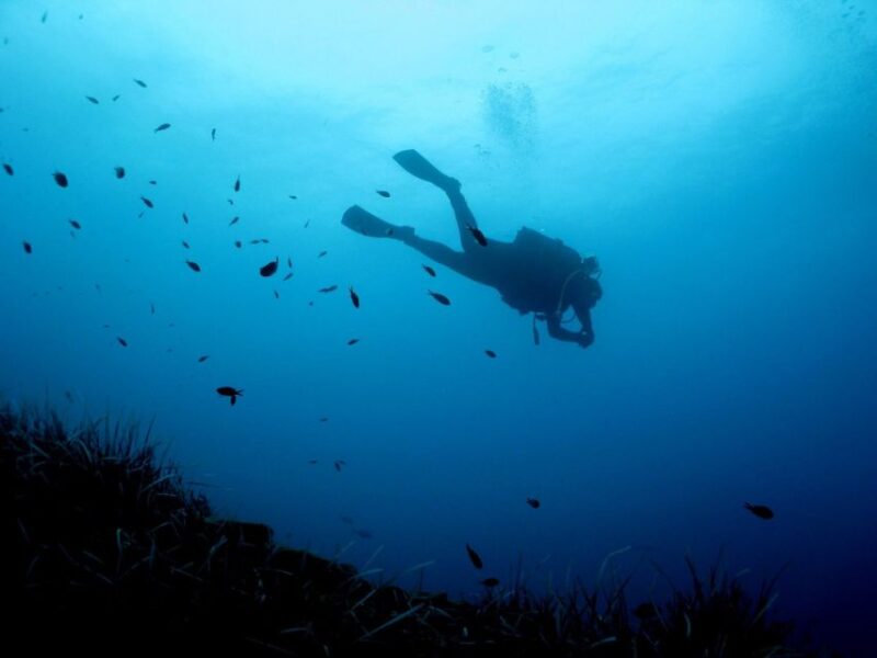 Nea Makri: Open-Water Diving Advanced PADI Course - Certification and Study Materials