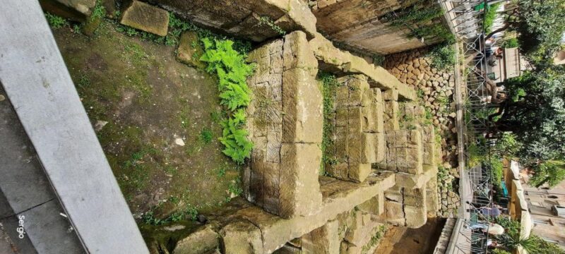 Neaples:Food TOUR Greek Roman City TOUR - Food and Drink