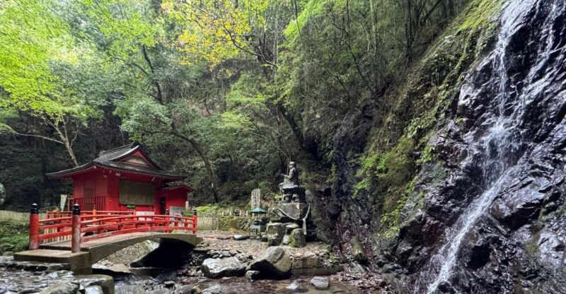 Near KIX: Shugendo Sanctuary of Waterfalls & Tranquility - Getting There