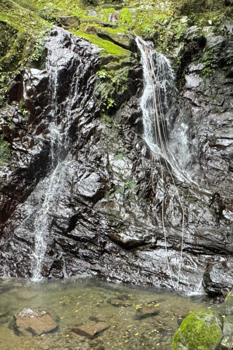 Near KIX: Shugendo Sanctuary of Waterfalls & Tranquility - Booking and Availability