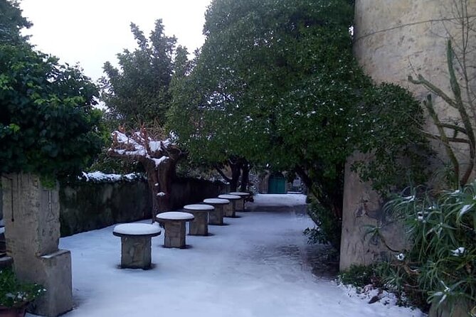 Nebrodi Medieval Day – Castle and Convent Tour (Private Experience) - Traveler Reviews and Ratings