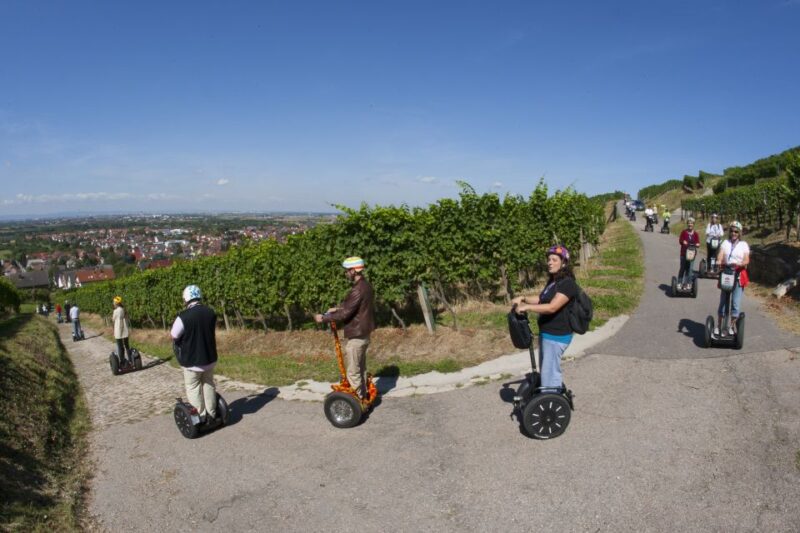 Neckargemünd: 2.5-Hour Segway Tour on the Mark Twain Trail - Key Points