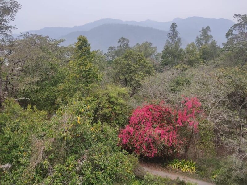 Neer Water Fall Trek in Rishikesh - Highlights and Photography Opportunities