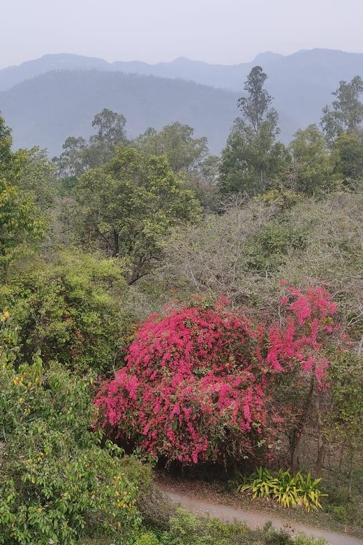 Neer Water Fall Trek in Rishikesh - Inclusions and Exclusions