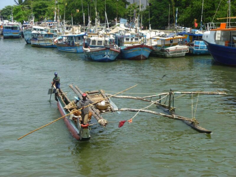 Negombo: All-Inclusive Lagoon Fishing Tour & Seafood Lunch - Itinerary