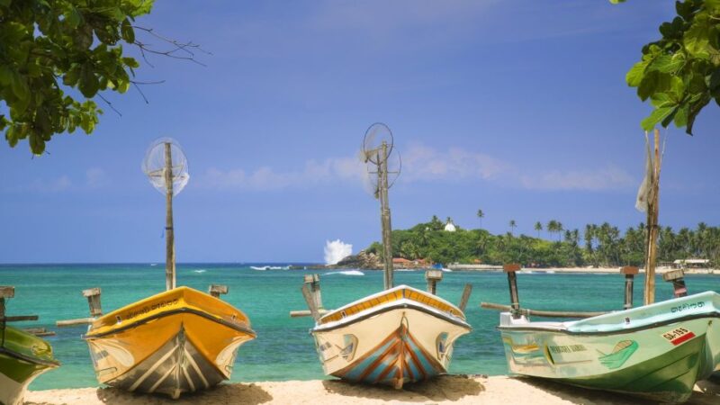 Negombo: All-Inclusive Lagoon Fishing Tour & Seafood Lunch - Customer Feedback