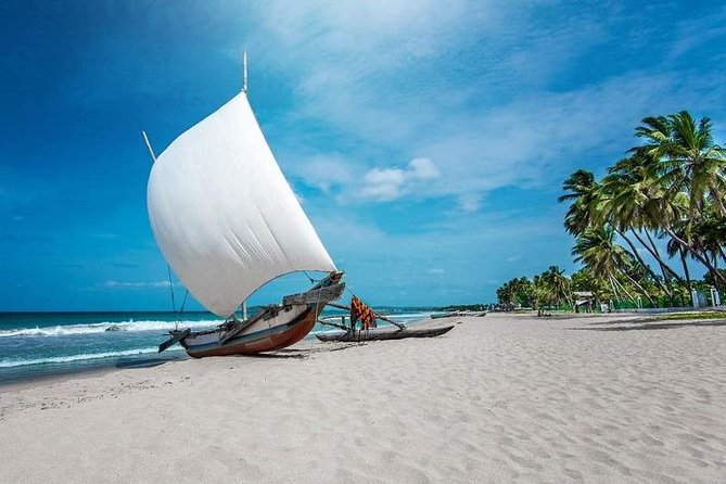 Negombo City And Fishing Village Tour Review - Inclusions