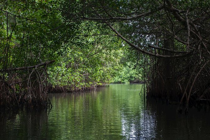 Negombo City Tour - Scenic Waterfront and Landscapes