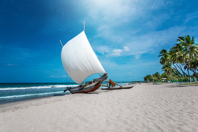 Negombo City Tuk Tuk Safari Review - Additional Information