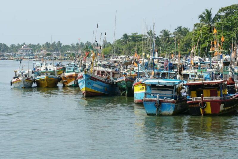 Negombo & Colombo: Full-Day Tour with Lunch - Final Thoughts: Is This the Right Tour for You?