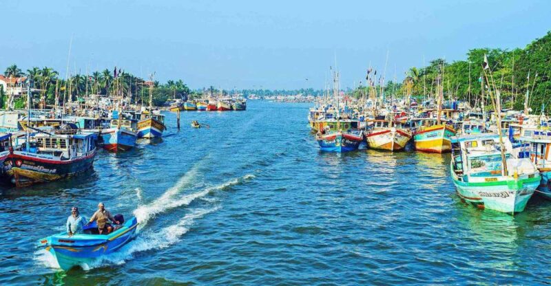 Negombo: Dutch Canal, Negombo Lagoon, Muthrajawela Boat Tour - Key Points