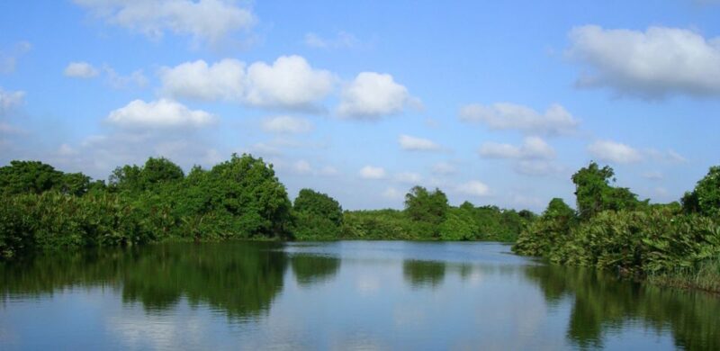 Negombo: Dutch Canal, Negombo Lagoon, Muthrajawela Boat Tour - Whats Included and Excluded