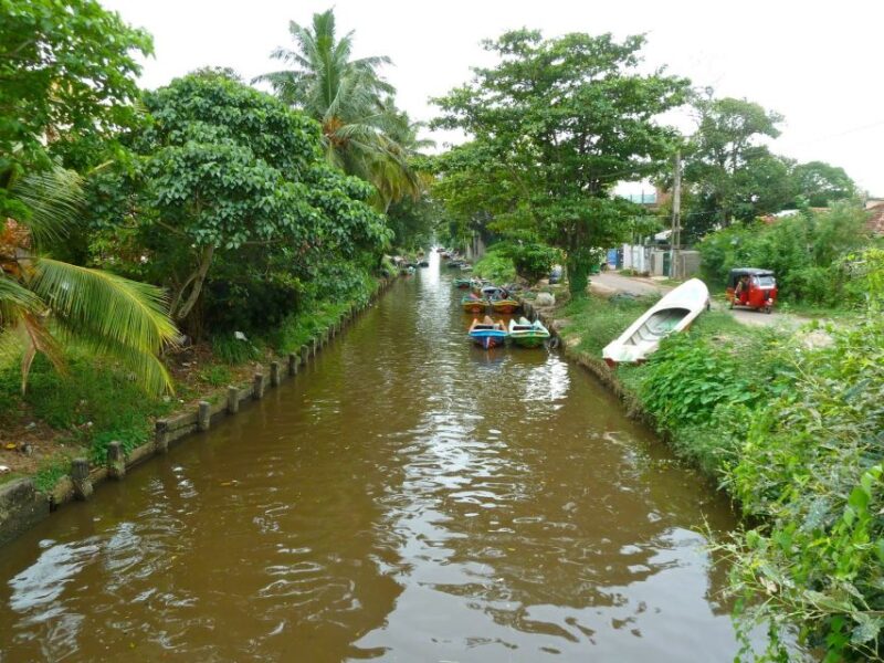 Negombo: Dutch Canal, Negombo Lagoon, Muthrajawela Boat Tour - Insights on Local Challenges