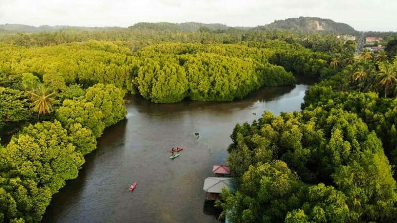 Negombo: Guided Kayaking Tour in the Lagoon - An Overview of What to Expect