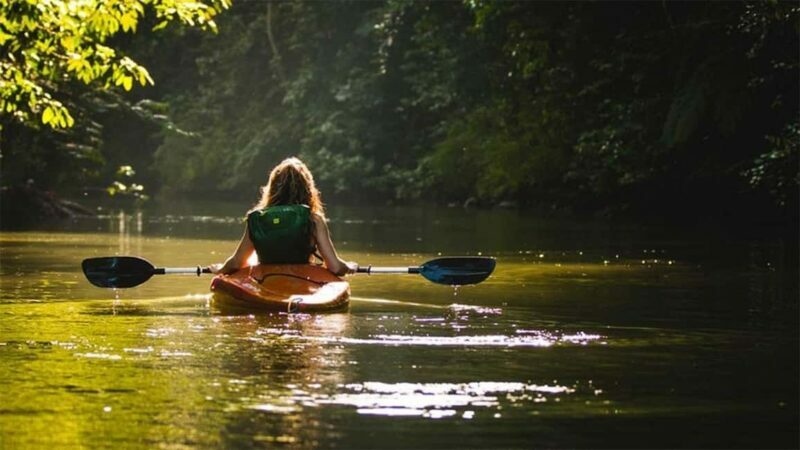 Negombo: Kayaking in the Lagoon - A Closer Look at the Experience