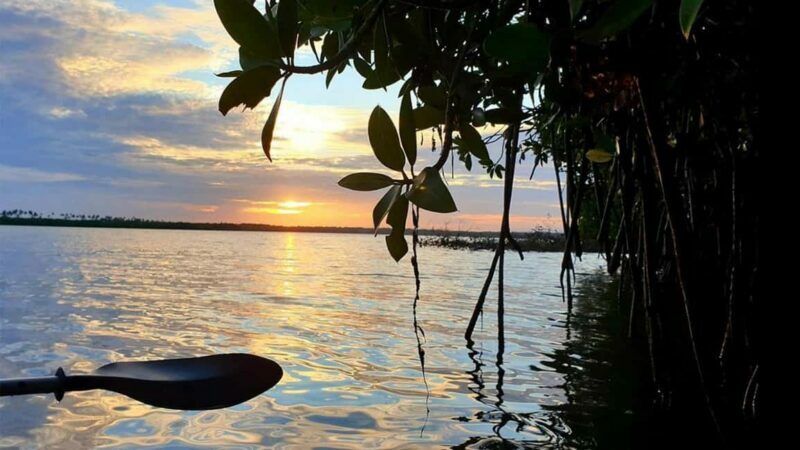 Negombo: Kayaking in the Lagoon - Final Thoughts: Is It Worth It?