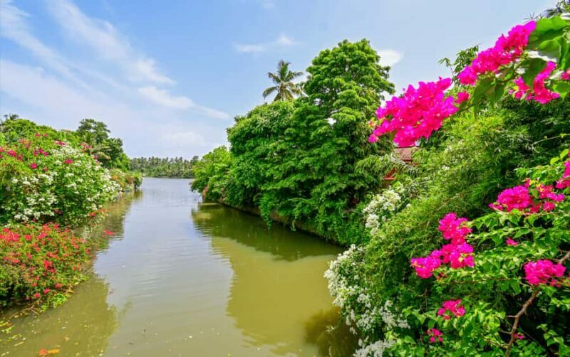 Negombo Lagoon & Dutch Canal Sunset Boat Tour - Key Points