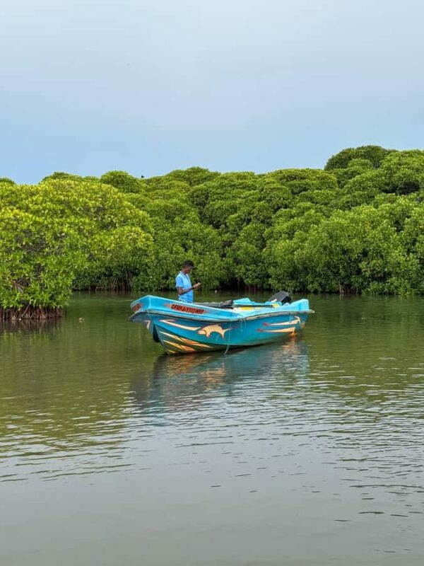 Negombo Lagoon & Dutch Canal Sunset Boat Tour - Who Should Consider This Tour?