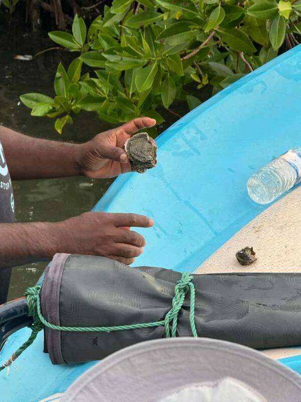 Negombo Lagoon & Dutch Canal Sunset Boat Tour - The Sum Up
