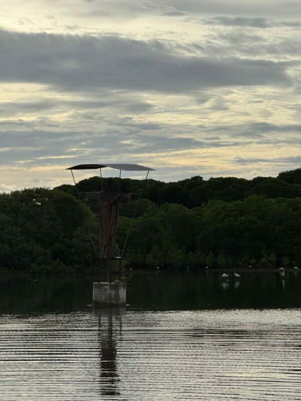 Negombo Lagoon & Dutch Canal Sunset Boat Tour - FAQ