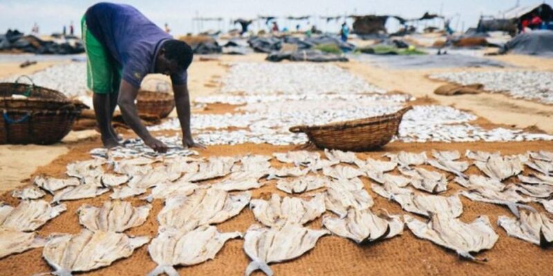 Negombo: Lagoon Fishing Tour From Colombo Harbour! - Itinerary Highlights