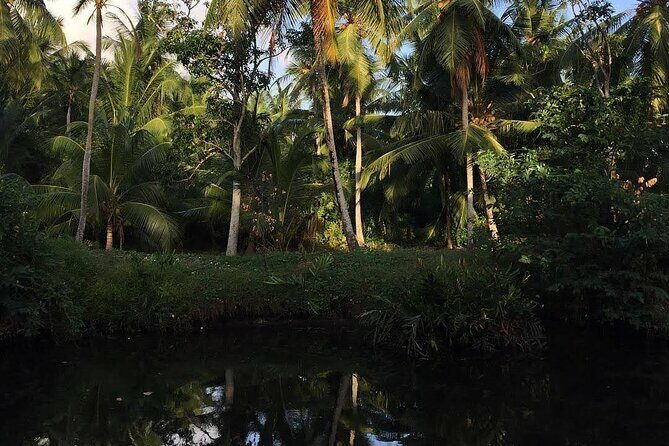 Negombo Lagoon & Muthurjawela Bird Watching Boat Tour - What Do Travelers Say?