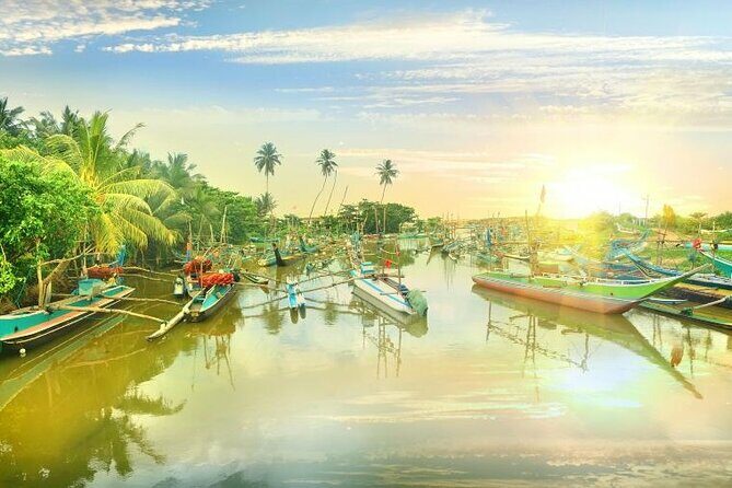Negombo Lagoon & Muthurjawela Bird Watching Boat Tour - Who Should Consider This Tour?