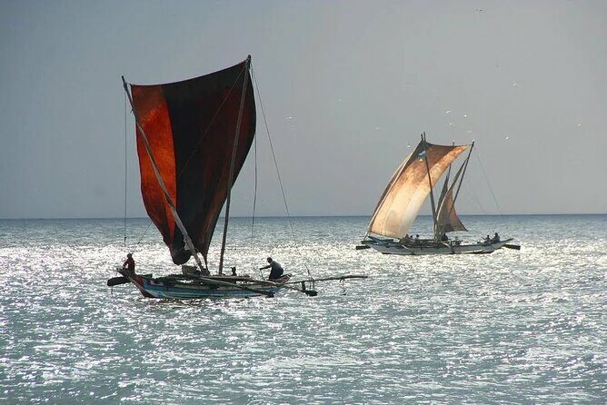 Negombo Lagoon & Muthurjawela Bird Watching Boat Tour - Final Thoughts
