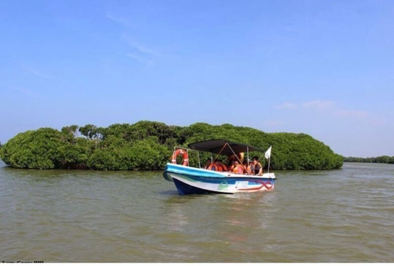 Negombo: Muthurajawela Wetland & Dutch Canal Boat Adventure - Key Points