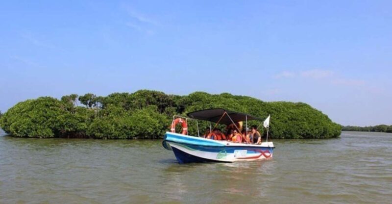 Negombo: Muthurajawela Wetland & Dutch Canal Boat Adventure - Itinerary and Highlights