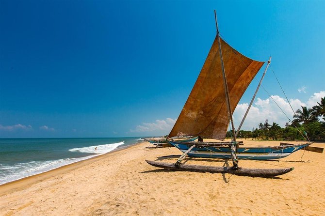 Negombo One Day Trip From Colombo - Discovering Negombos Bustling Fish Market