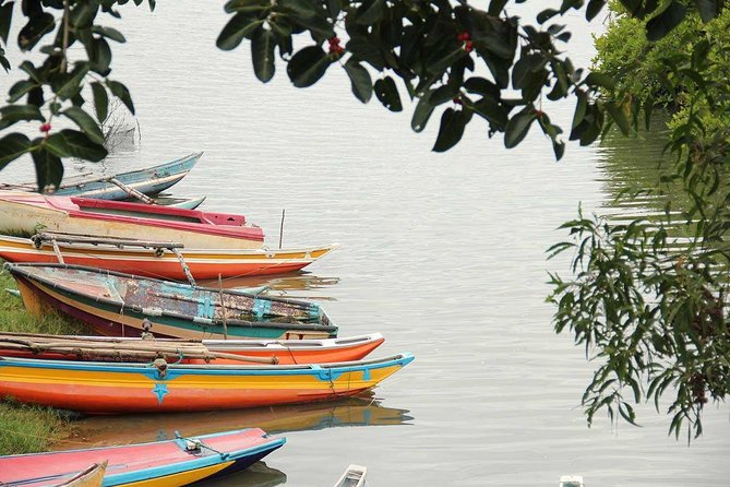 Negombo One Day Trip From Colombo - Exploring the Towns Local Cuisine