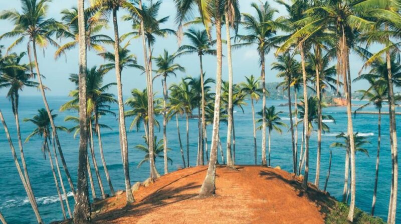 Negombo Pick Up to Mirissa Beach/City - Key Points