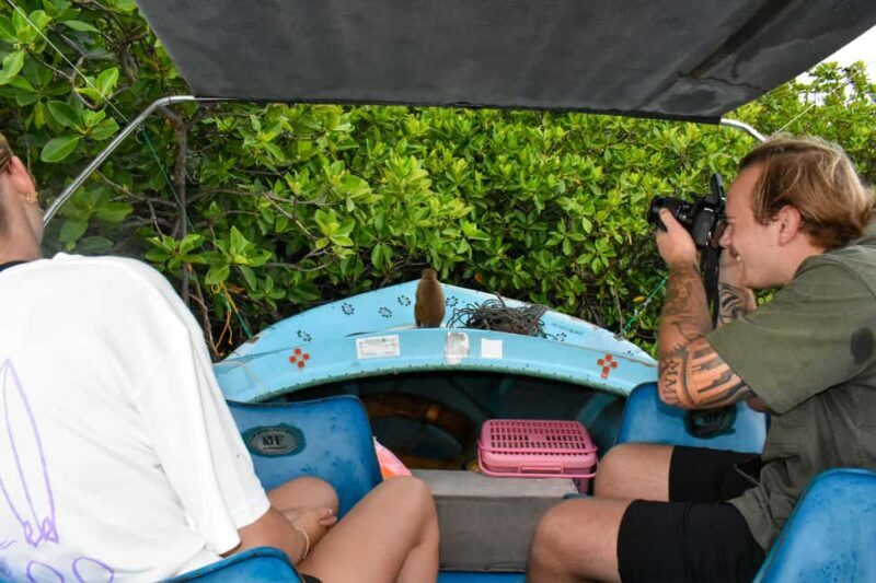 Negombo: Sunset lagoon boat tour with hotel transfers - Practical Details and Value