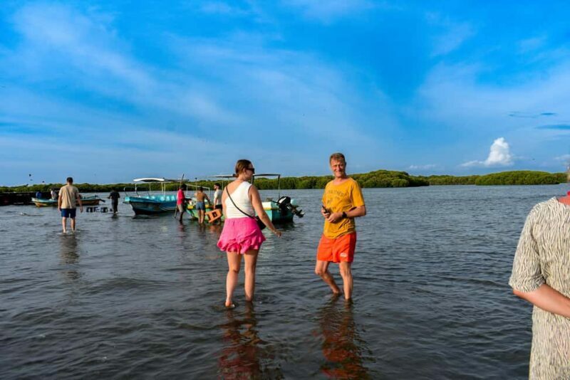 Negombo: Sunset lagoon boat tour with hotel transfers - Who Should Consider This Tour?